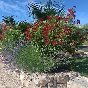 Douce Provence Magnifique Neuf Avec Jardin Proche Du Centre Vaison-la-Romaine